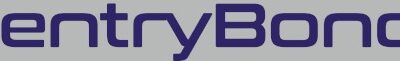 test page using buddyforms